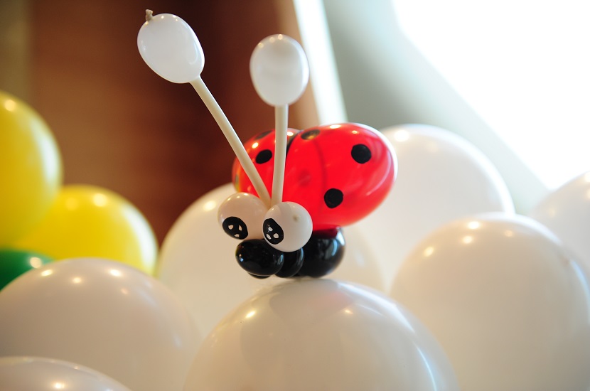 九宫格专注中小企业网络营销,致力推动创意气球工作间公司的互联网